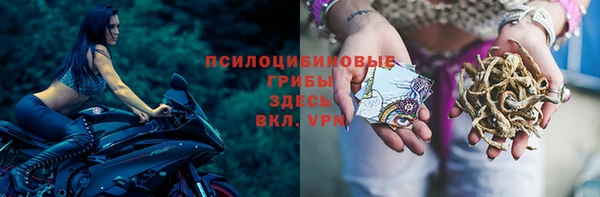 ALPHA PVP Баксан