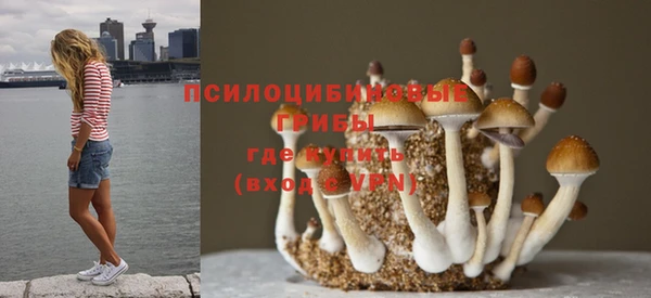 ALPHA PVP Баксан