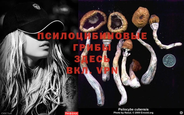 хмурый Балахна