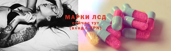 стаф Аркадак