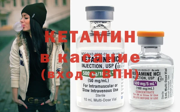 стаф Аркадак