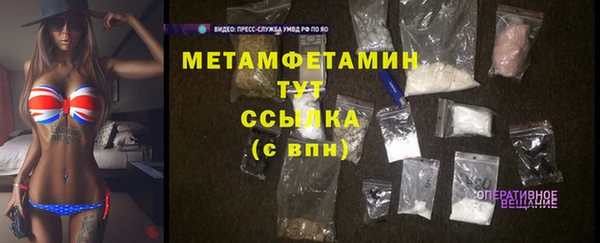 стаф Аркадак
